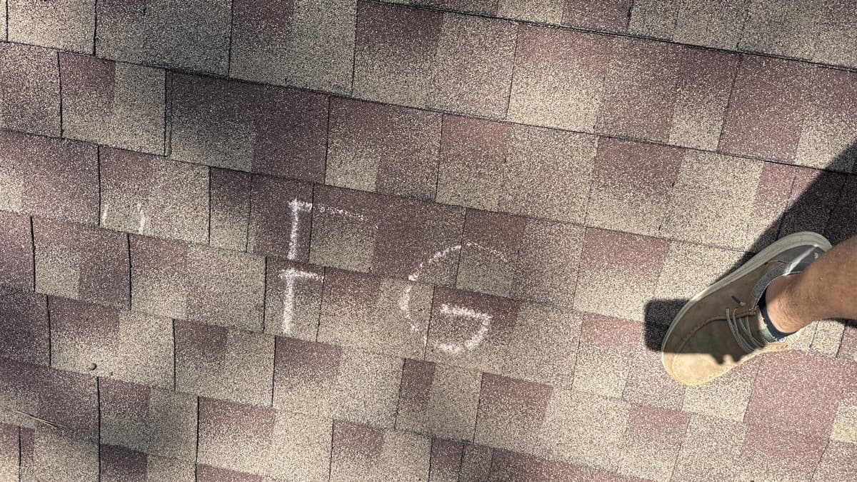 Chris's inspection work 5