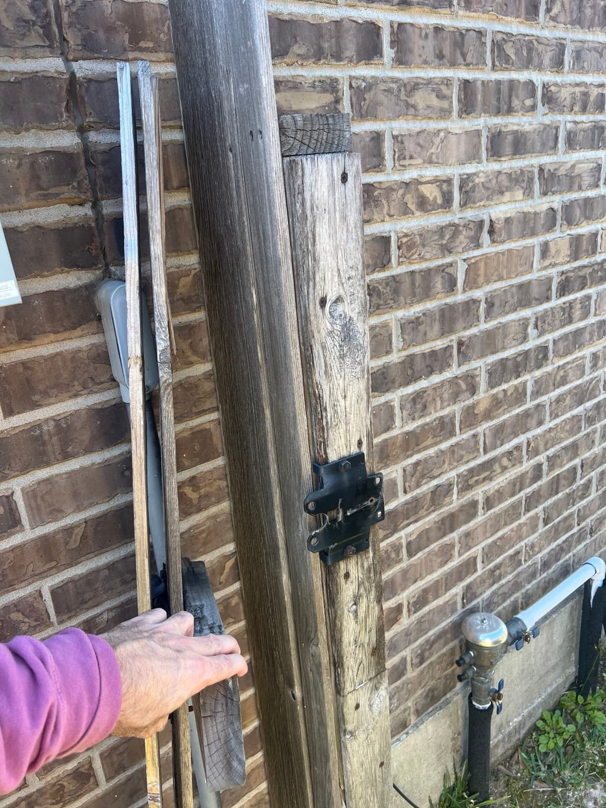 Daniel 's inspection work 11