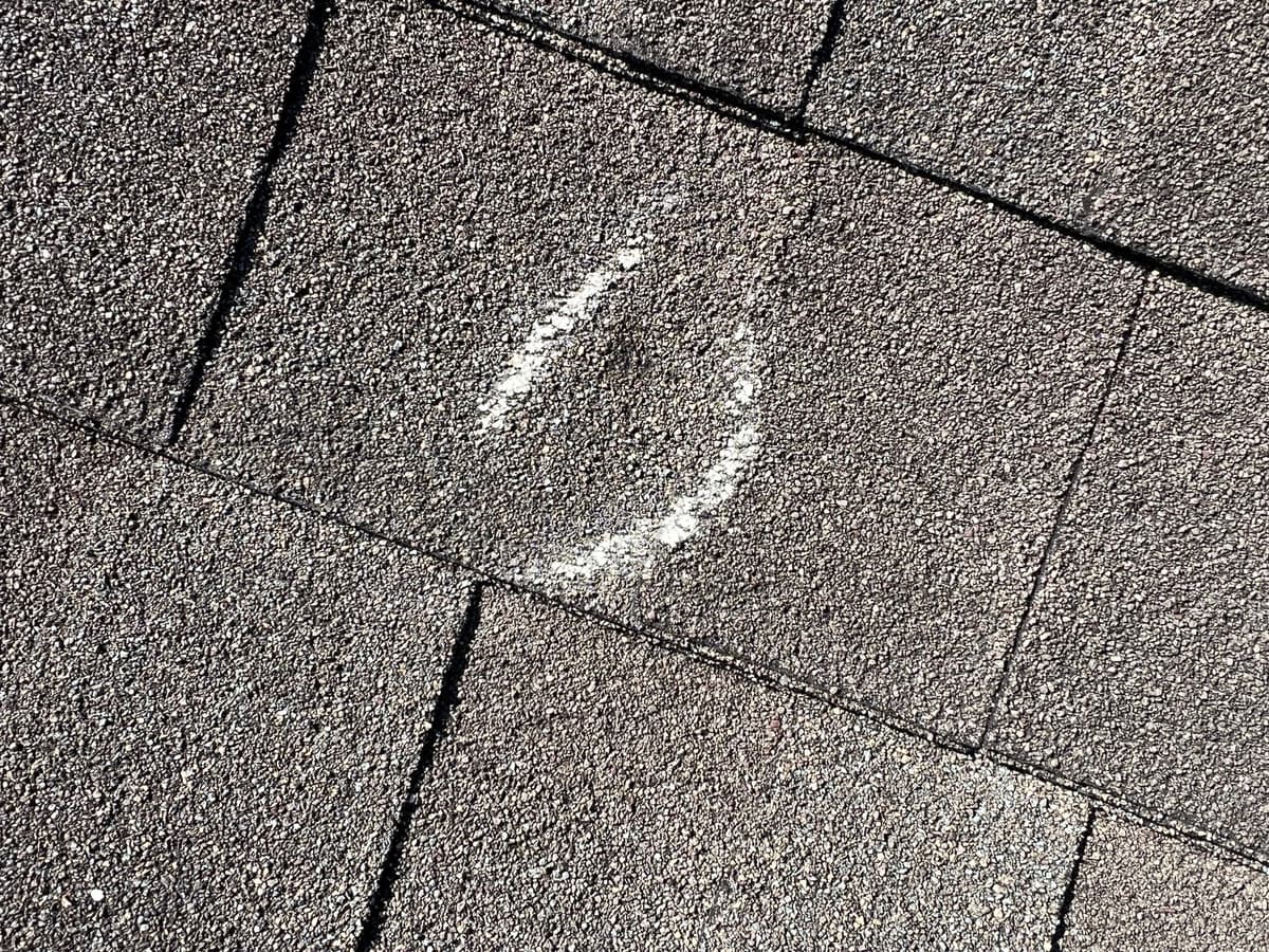 Daniel 's inspection work 5